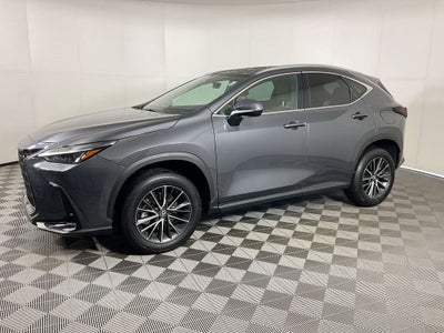 2024 Lexus NX 250