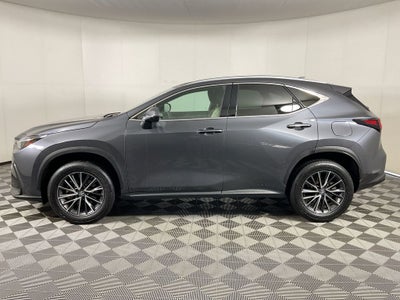 2024 Lexus NX 250