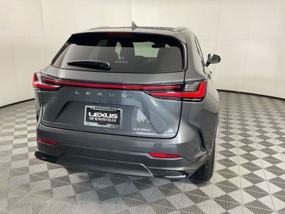 2024 Lexus NX 250