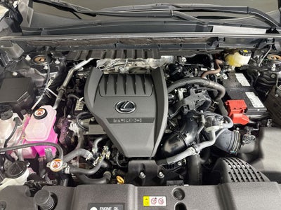 2024 Lexus NX 350 Base
