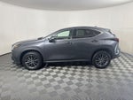 2024 Lexus NX 350 Base