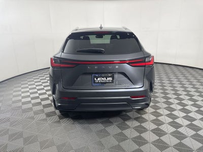 2024 Lexus NX 350 Base