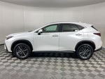 2025 Lexus NX 250 Premium
