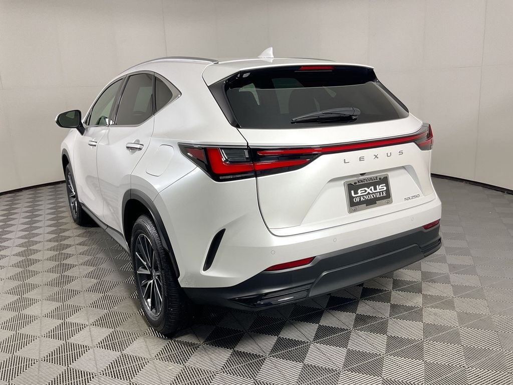 2025 Lexus NX 250 Premium
