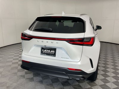 2025 Lexus NX 250 Premium