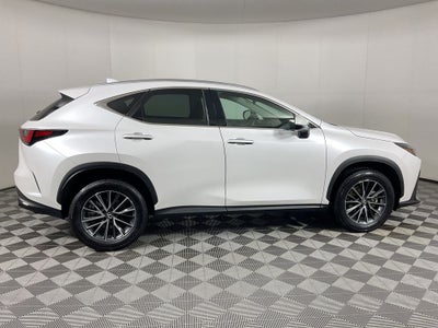 2025 Lexus NX 250 Premium