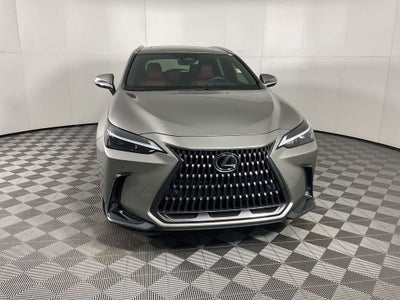2024 Lexus NX 250 Premium