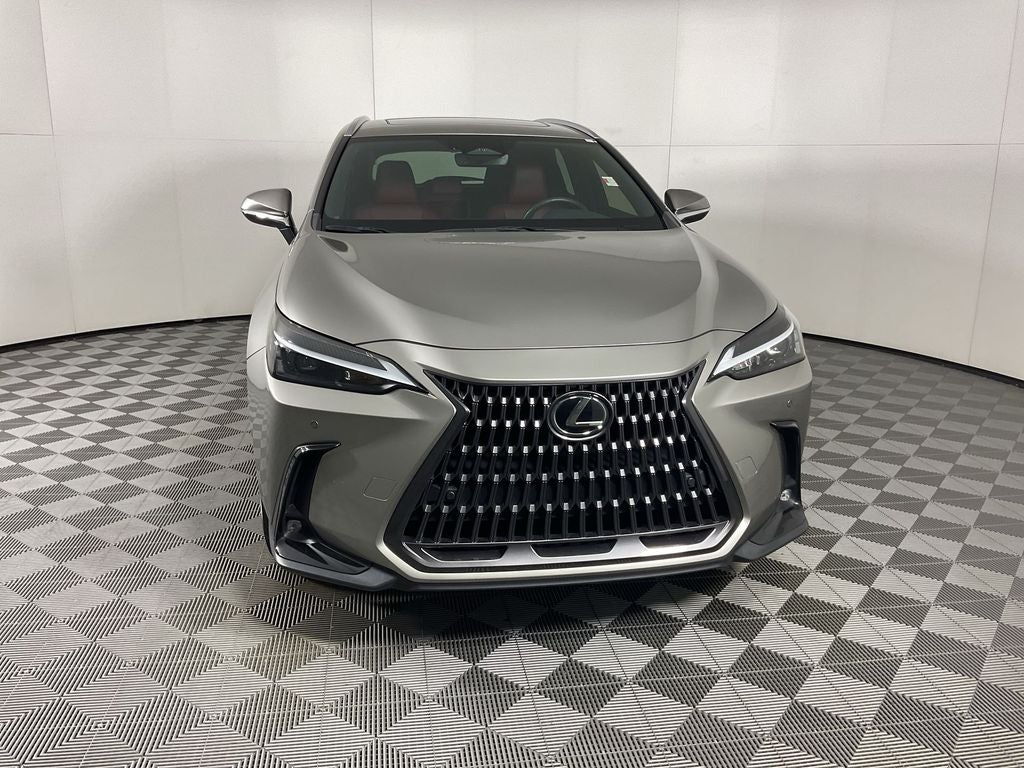 2024 Lexus NX 250 Premium