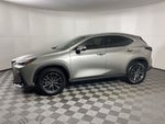 2024 Lexus NX 250 Premium