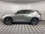 2024 Lexus NX 250 Premium