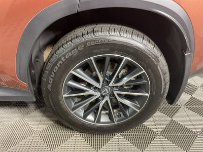 2025 Lexus NX 250 Premium