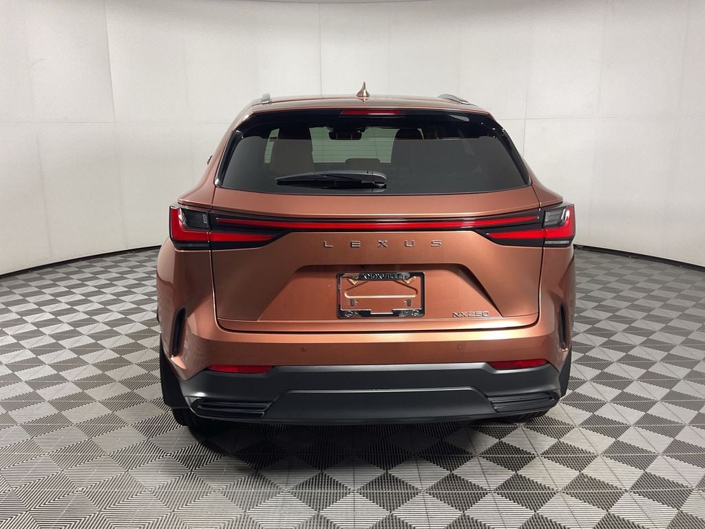 2025 Lexus NX 250 Premium