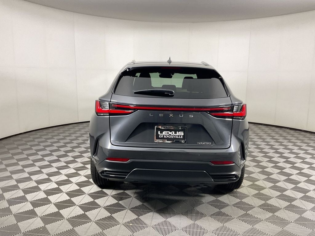 2024 Lexus NX 250 Premium