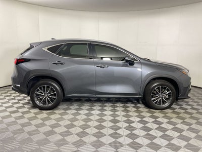 2024 Lexus NX 250 Premium