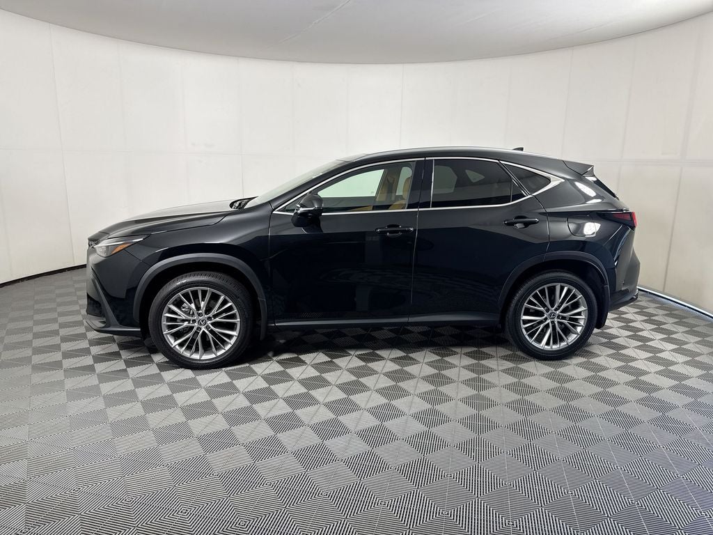 2025 Lexus NX 350 Premium