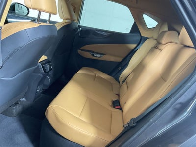 2024 Lexus NX 350h Premium
