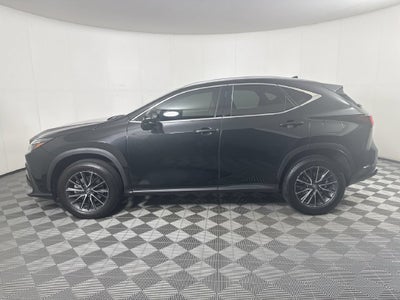 2024 Lexus NX 350h Premium