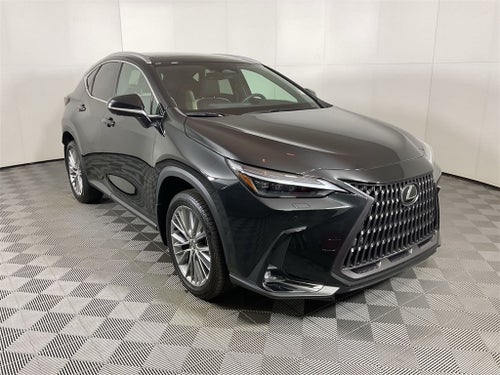 2024 Lexus NX 350h Luxury
