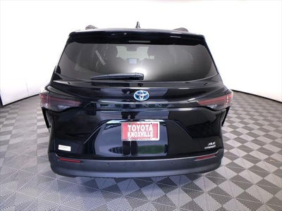 2024 Toyota Sienna XLE 8 Passenger