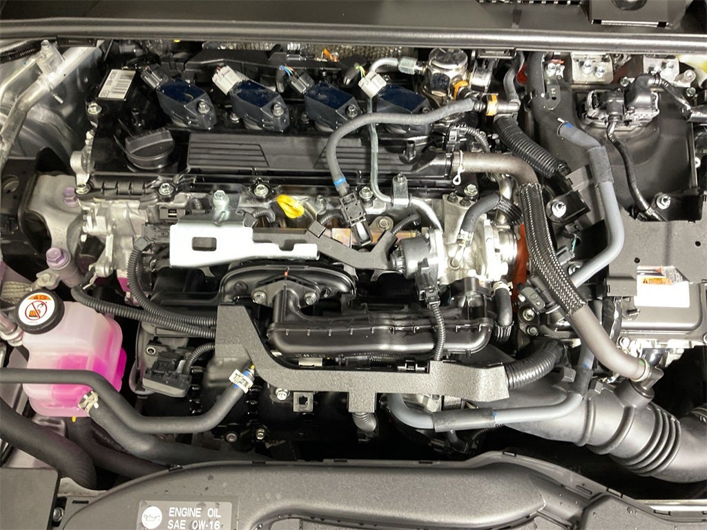 2025 Toyota Prius XLE