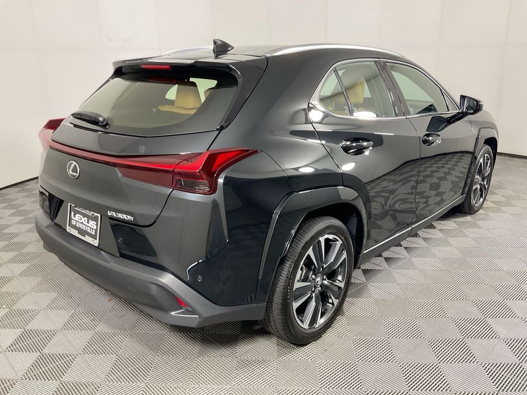 2025 Lexus UX 300h Premium