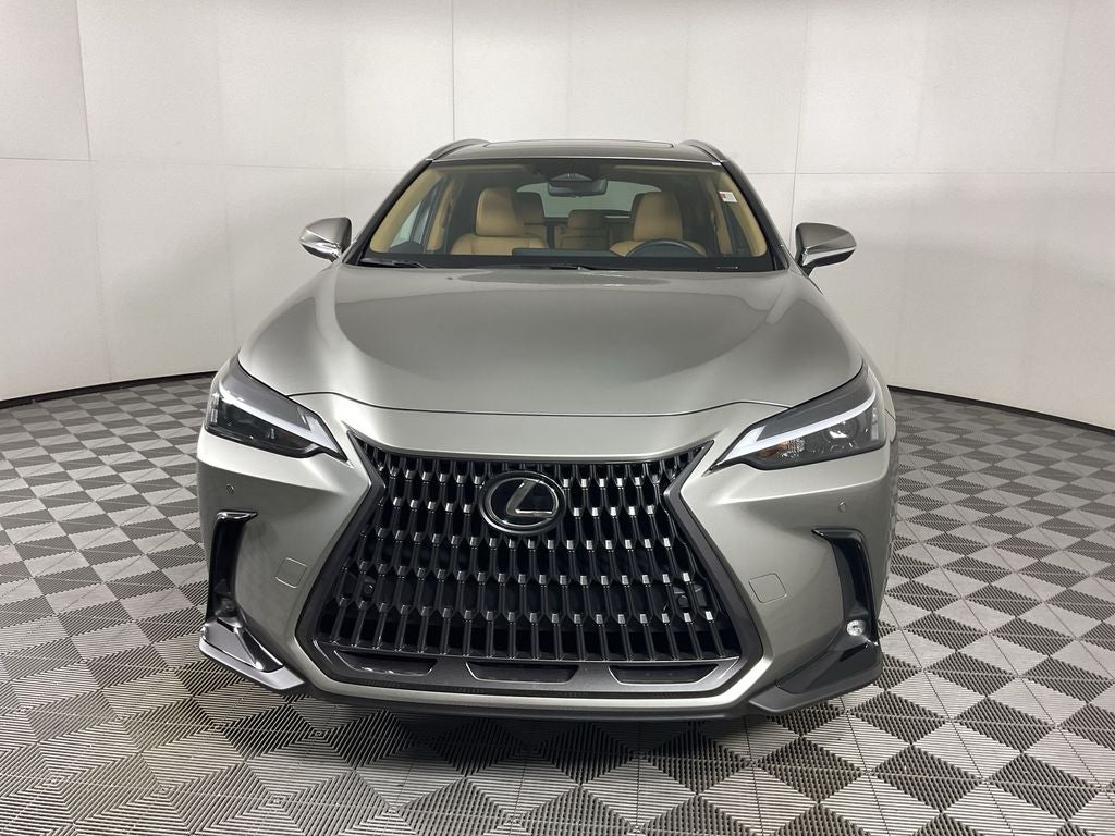 2025 Lexus NX 350h Premium