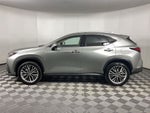 2025 Lexus NX 350h Premium