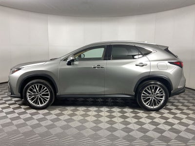 2025 Lexus NX 350h Premium