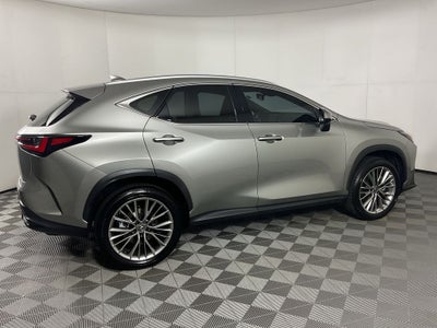 2025 Lexus NX 350h Premium