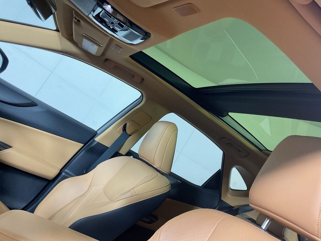 2025 Lexus NX 350h Luxury