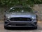 2023 Ford Mustang EcoBoost