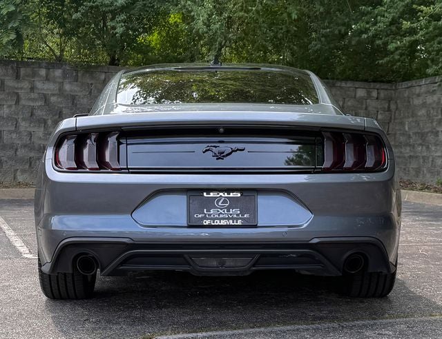 2023 Ford Mustang EcoBoost
