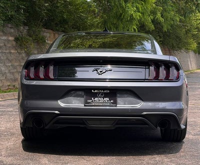 2023 Ford Mustang EcoBoost