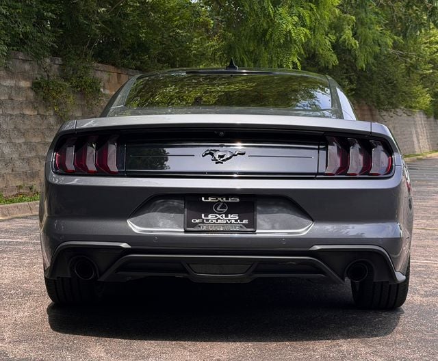 2023 Ford Mustang EcoBoost