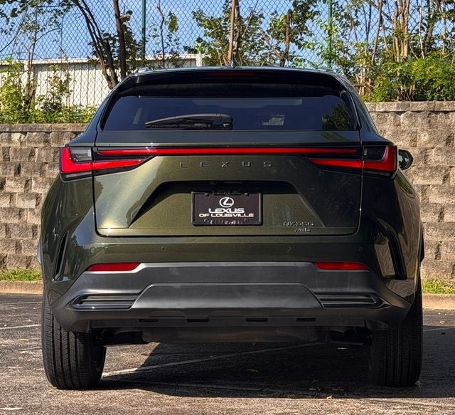 2024 Lexus NX 350 Premium
