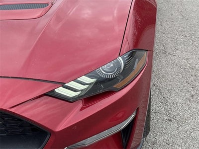 2022 Ford Mustang EcoBoost